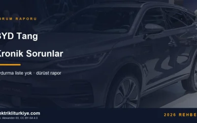 BYD Tang kronik sorunlar durum raporu kapak görseli. Foto: Alexander-93, CC BY-SA 4.0